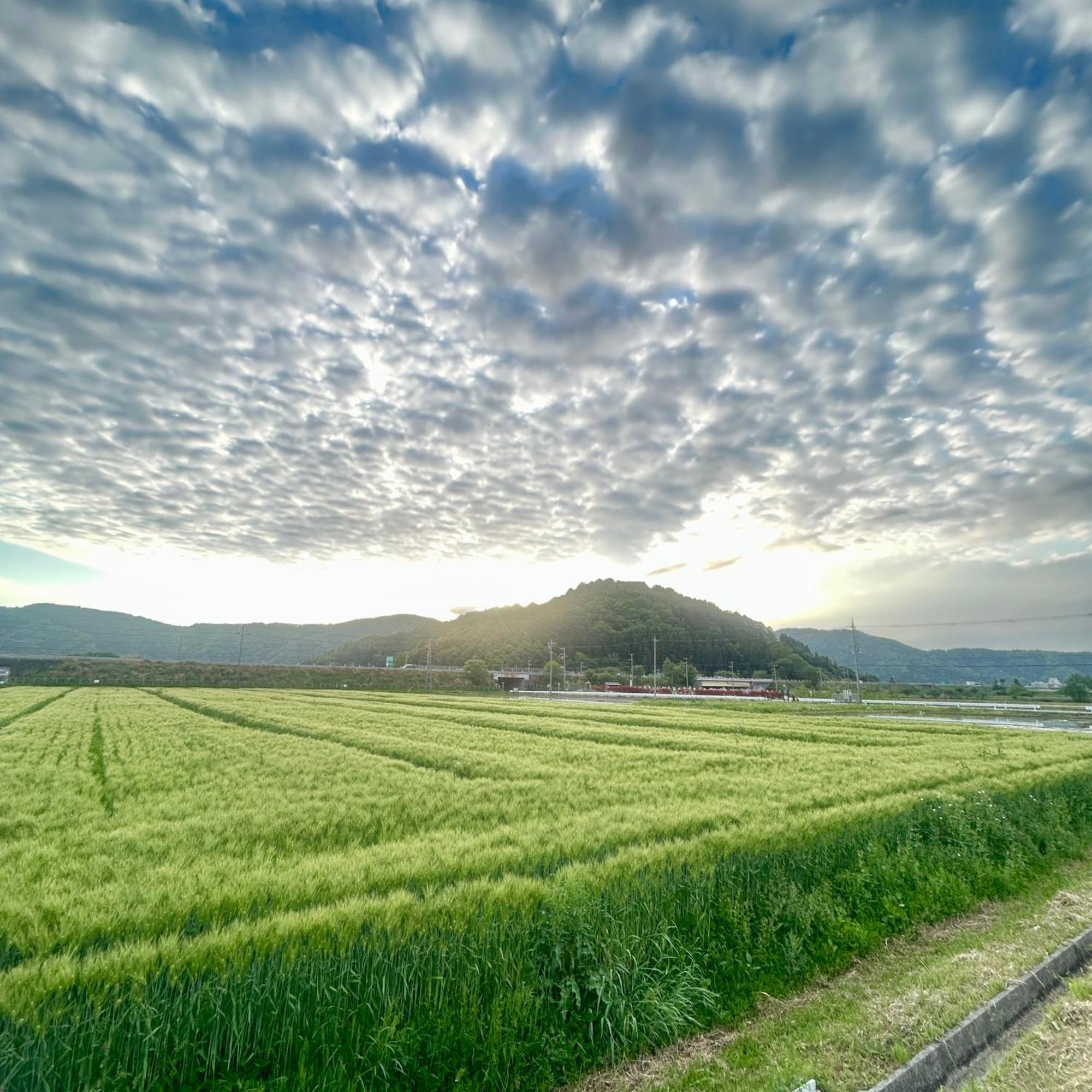 湖北 寺の宿-去-来-現ko-Rai-Gen Nagahama  Bagian luar foto
